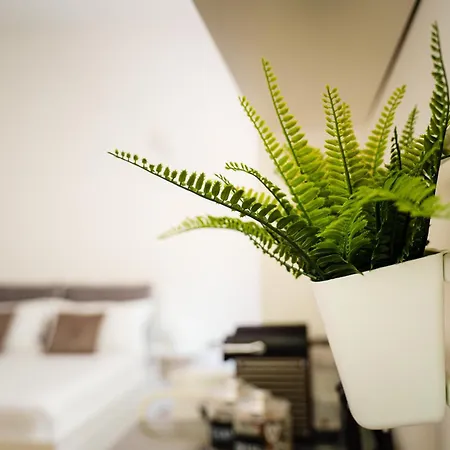 Apartmán Accomodo Mib31 Bivano Centro Storico *